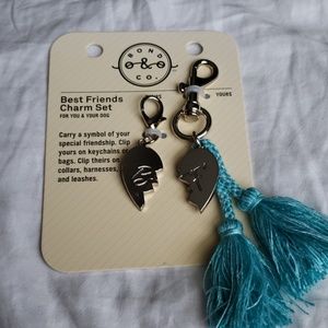 BNWT Pet Owners Keychain/Collar Set
